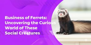 Read more about the article A Business of Ferrets: Uncovering the Curious World of These Social Creatures