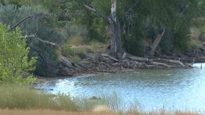 Read more about the article Neighbors shocked after man says he was stabbed while fishing at McKay Lake