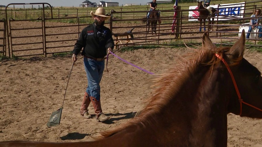 Read more about the article Brighton cowboy saving mustangs, one saddle at a time