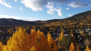 Read more about the article Fall leaves in Colorado are changing color earlier this year. Here’s why