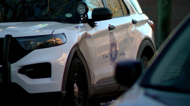 Read more about the article Mini-bike rider allegedly threw rocks at officers, taunted Denver police