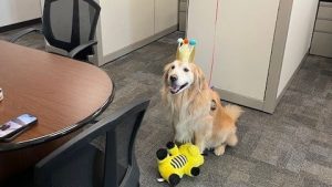 Read more about the article The city of Lone Tree celebrates team member's 6th birthday