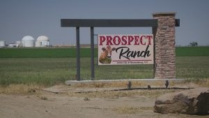 Read more about the article 6 victims in Weld County 'dairy accident' identified as investigation continues