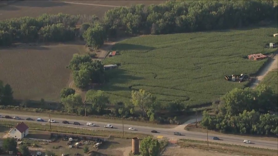 You are currently viewing Teen arrested, 2 others on the run following an attempted armed carjacking in Thornton