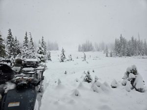 Read more about the article Missing hunter survives 2 nights in northern Colorado wilderness during 'intense early season snowstorm'