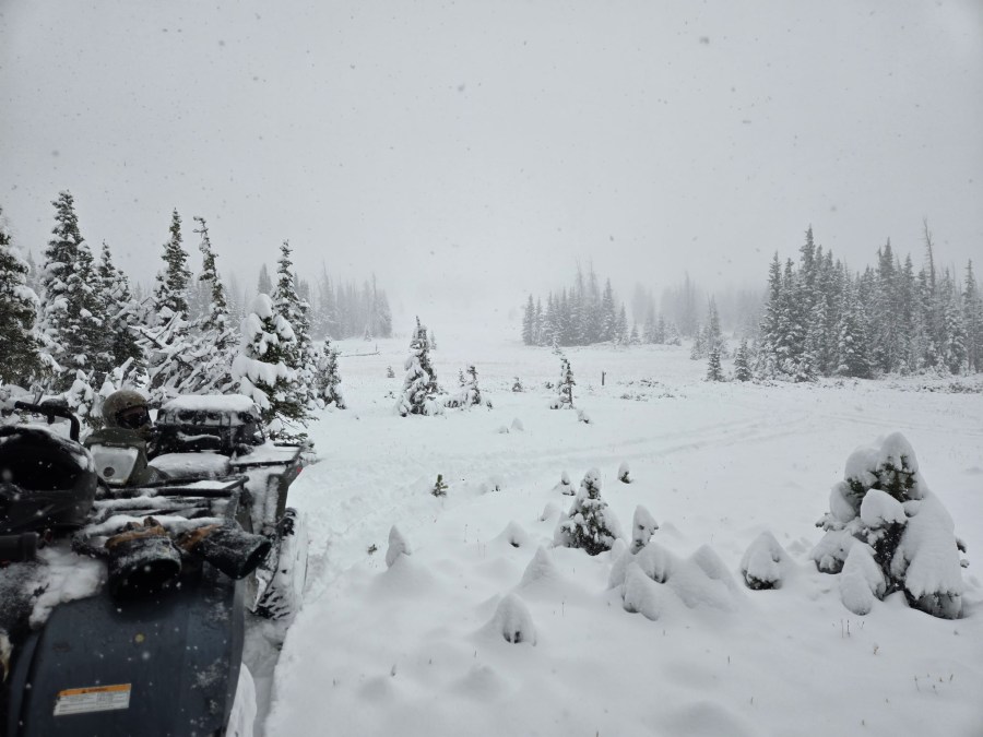 You are currently viewing Missing hunter survives 2 nights in northern Colorado wilderness during 'intense early season snowstorm'