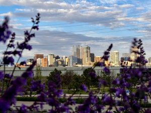 Read more about the article Studies rank these Denver area cities among best in US for retirement