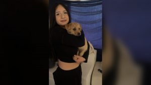 Read more about the article Fort Collins police searching for missing 13-year-old girl