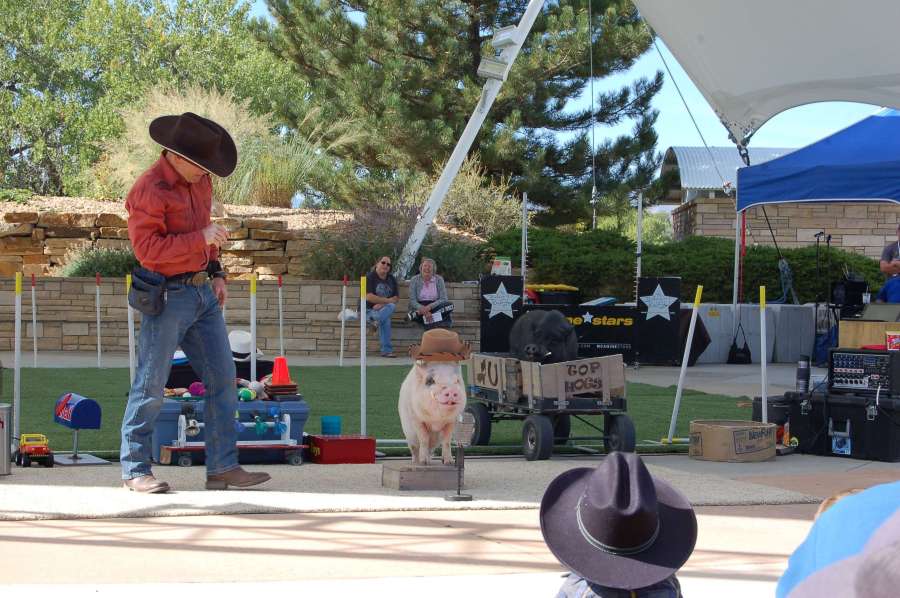 You are currently viewing Heritage Lakewood Belmar Park set to host 'Cider Days' festival