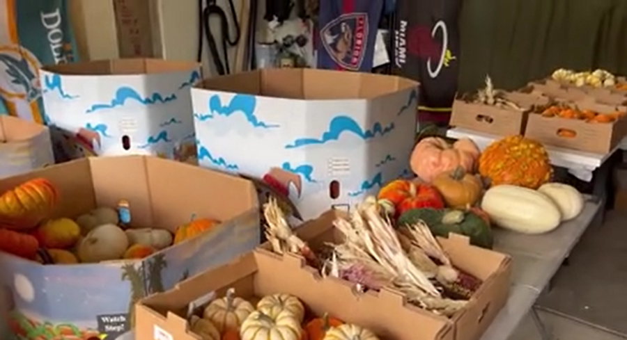 You are currently viewing Fall home decor service craze comes to Colorado