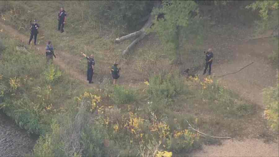 You are currently viewing Police activity in Wheat Ridge neighborhood