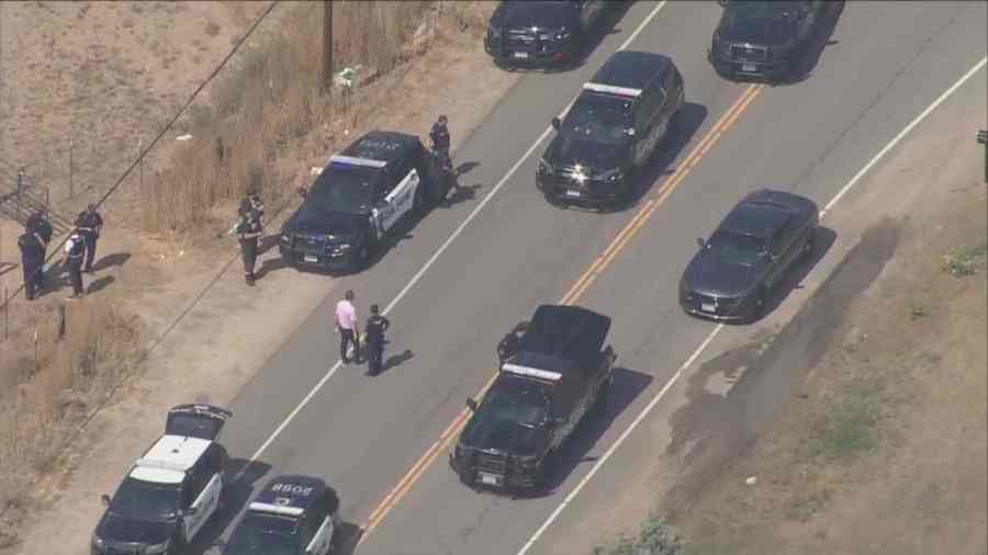 You are currently viewing Brighton robbery suspect accused of killing pregnant woman in separate incident