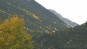 Read more about the article Thousands left without power in Georgetown during peak foliage season