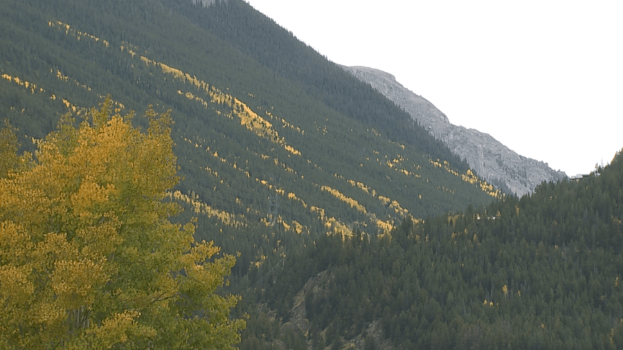 You are currently viewing Thousands left without power in Georgetown during peak foliage season