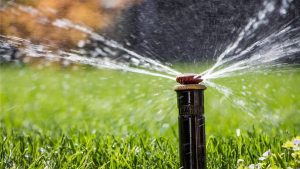 Read more about the article Landscaping experts weigh in on the best time to winterize sprinklers in Colorado