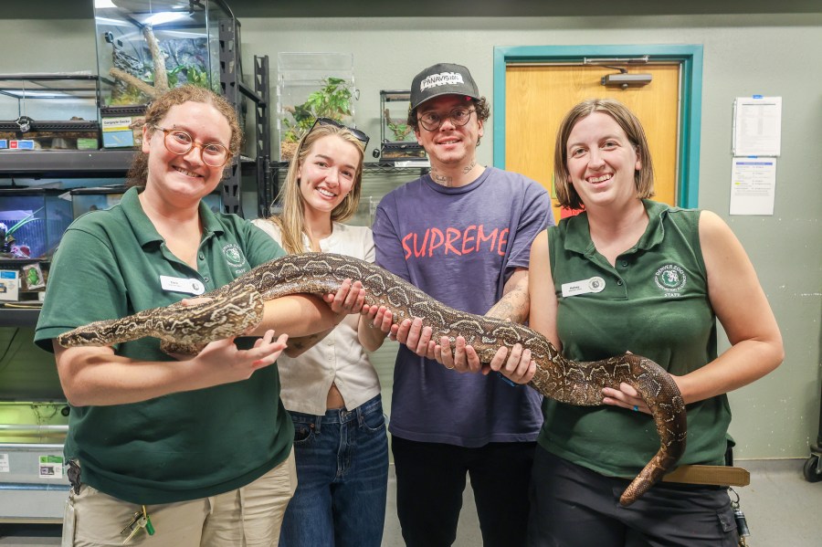 You are currently viewing Artist visits Denver Zoo ahead of concert at Red Rocks