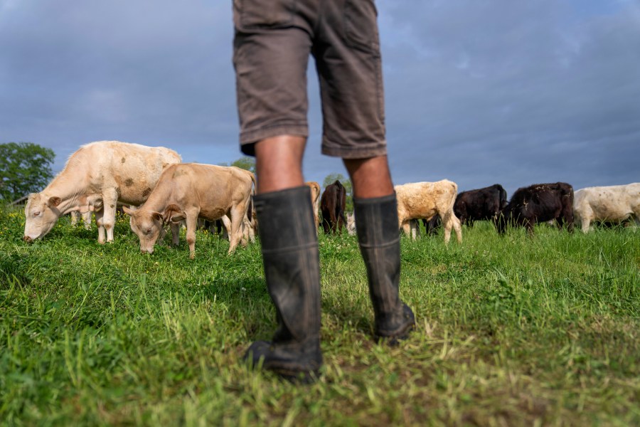 You are currently viewing Colorado leaders call Trump's plan to import beef from Argentina 'a slap in the face'