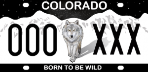 Read more about the article Colorado specialty wolf license plate raises $1M for wildlife, ranchers