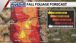 Read more about the article Places to see fall leaves at peak in Denver
