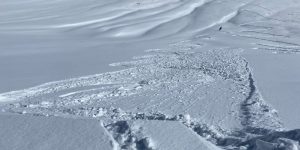 Read more about the article Colorado sees first skier-caused avalanche of the season