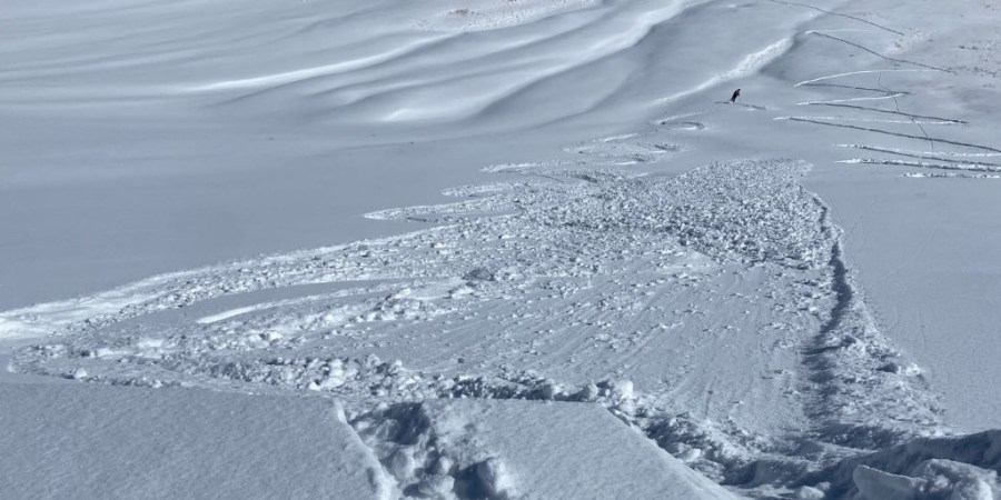 You are currently viewing Colorado sees first skier-caused avalanche of the season