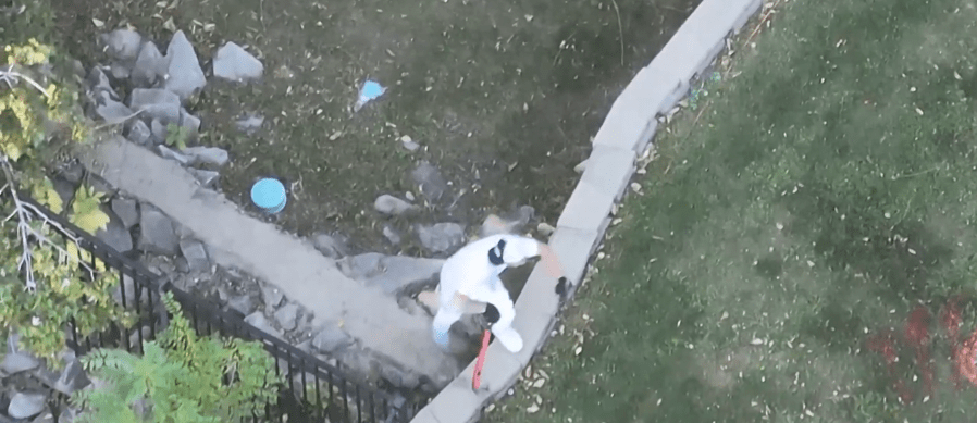 You are currently viewing Video: Police drone spots man swinging machete through backyards in Boulder