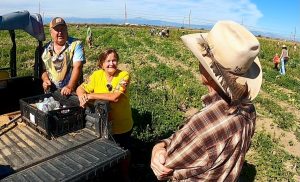 Read more about the article Colorado farming family recognized for blood, sweat and tears