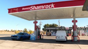 Read more about the article 2 Adams County men battling terminal illness desperate to find dogs stolen in car theft